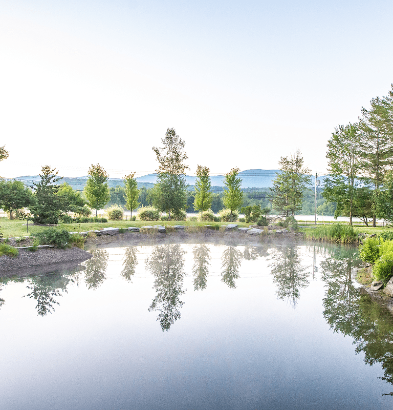Serene pond reflecting trees and distant hills